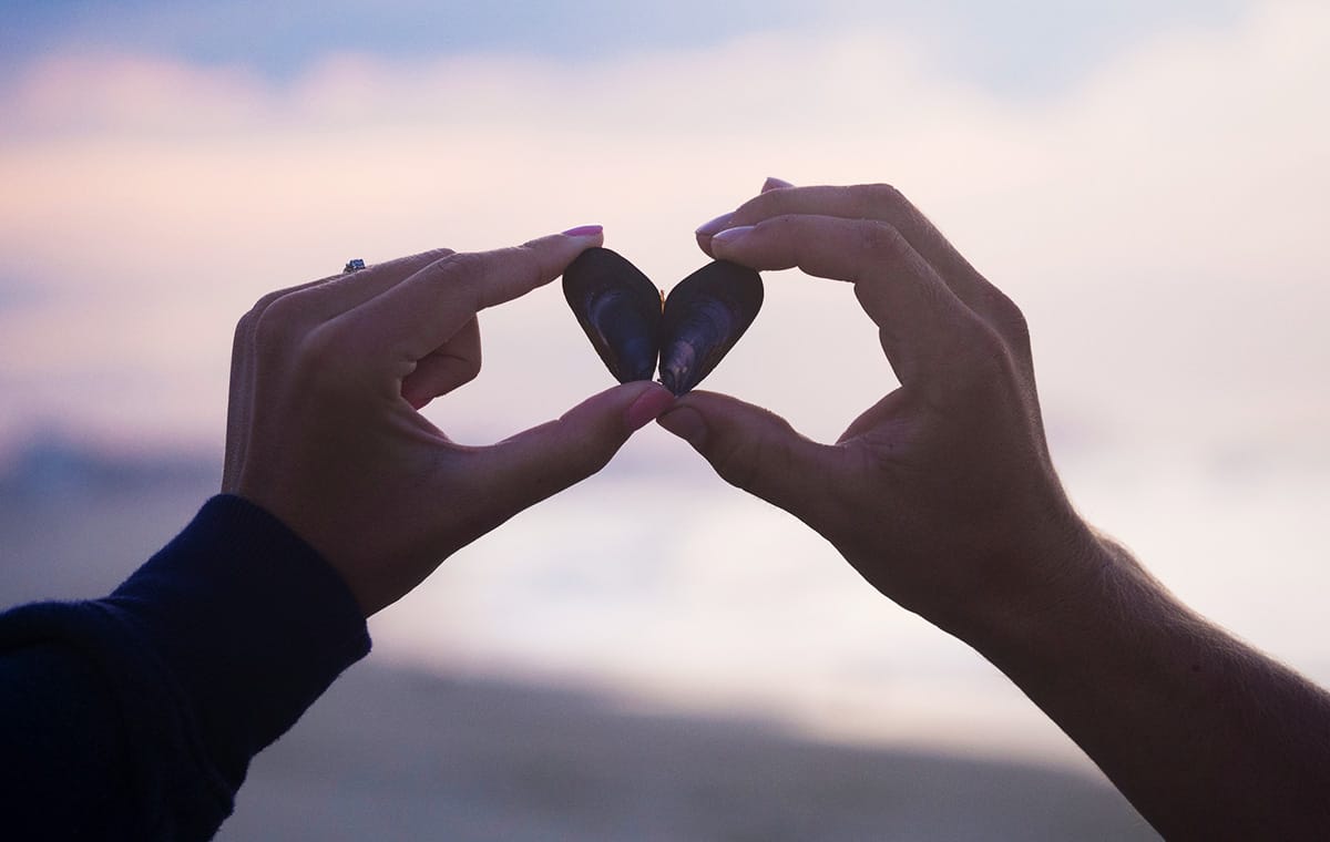 Two hands hold shells together to form a heart shape